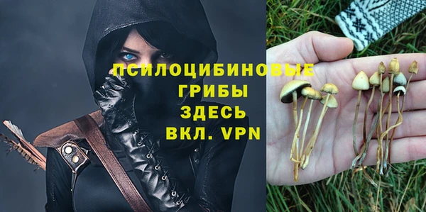 спайс Медногорск