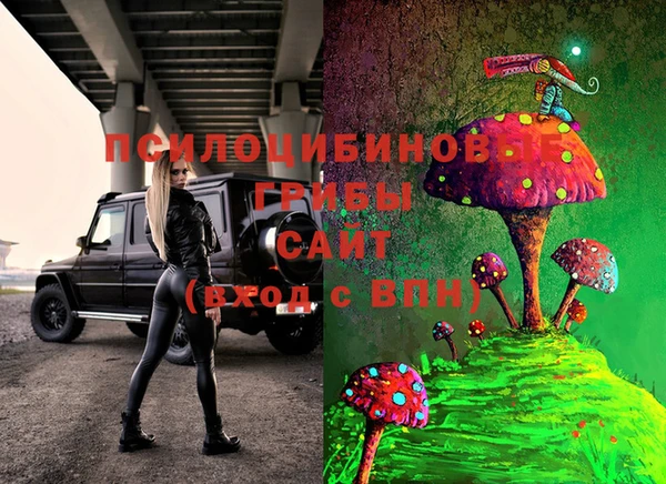 твердый Медвежьегорск