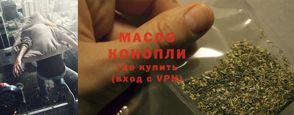 дживик Няндома