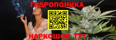 твердый Бийск