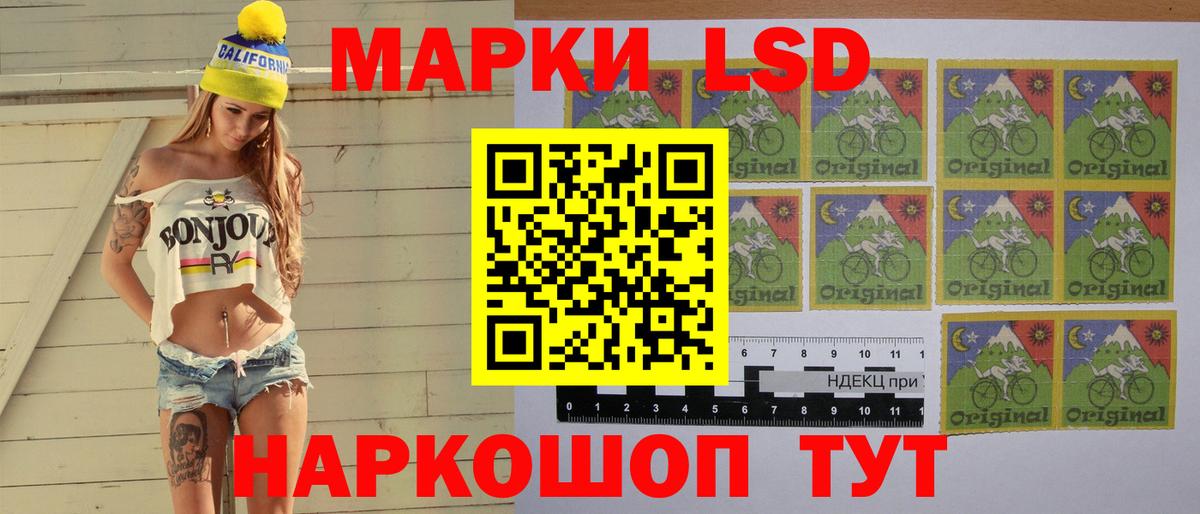 Новозыбков  Лсд 25 экстази  Вход с VPN  LSD-25 экстази ecstasy  Лсд 25 экстази ecstasy 