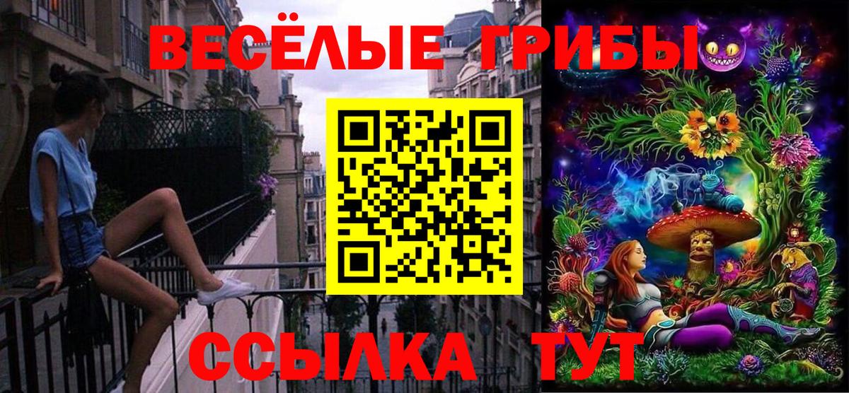 Псилоцибиновые грибы Cubensis Новозыбков