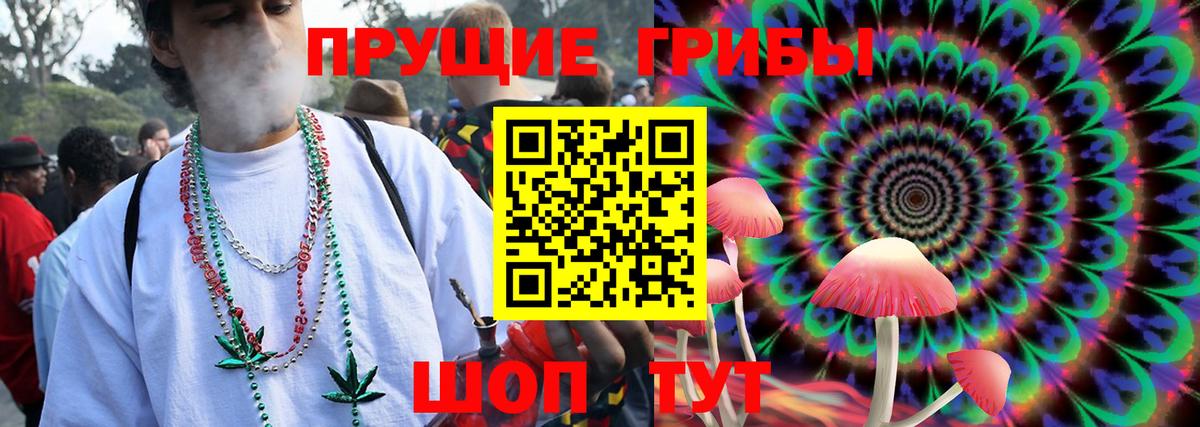 Галлюциногенные грибы мухоморы Новозыбков